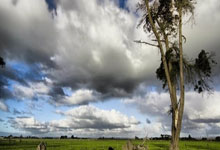 东升国际:马特乌斯:拜仁肯定将赢得德甲冠军,仅德国杯能拯救药厂的这赛季.